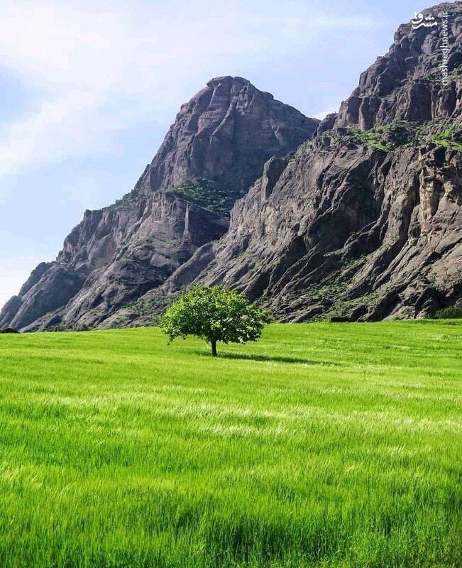 اسلایدشو قادری4-با استفاده از کامپوننت