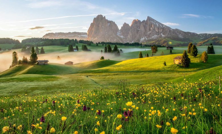 اسلایدها - 4 - فرزام